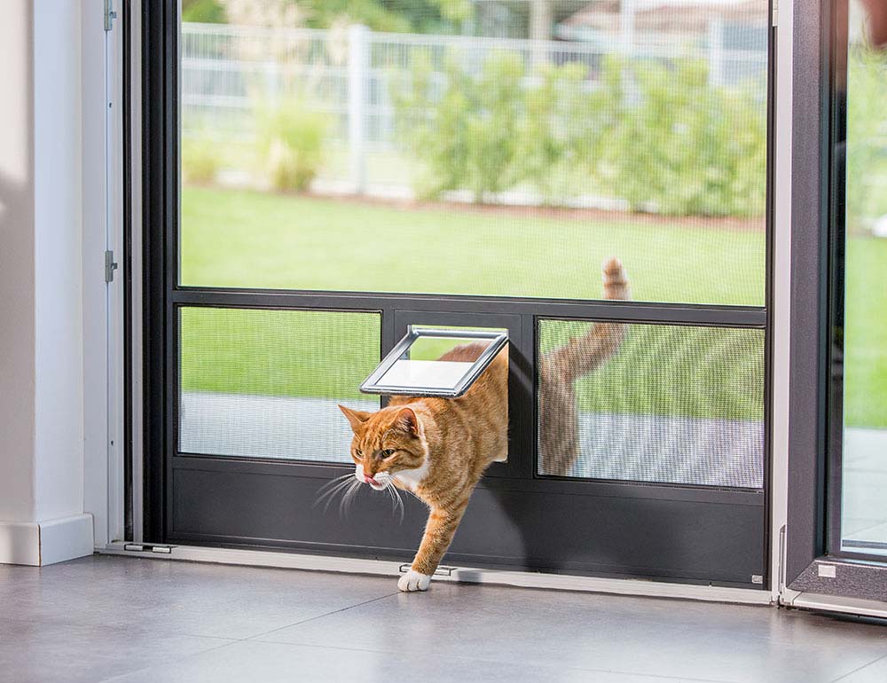 Thomas-Lutz Insektenschutz Fensterfugenabdichtungen Montagearbeiten